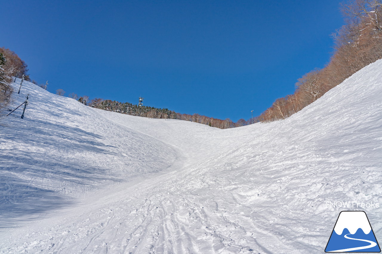 札幌藻岩山スキー場｜本日、雲一つ無い快晴！札幌藻岩山の全10コースの滑走にチャレンジ(^^)/